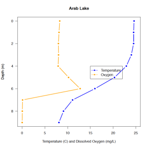 Temperature and oxygen profile of Arab Lake